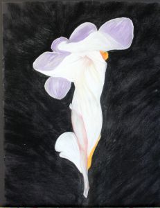 Huiles et Pastels de Louise BRESSANGE Huiles et Pastels de Louise BRESSANGE